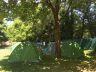 Campsite France Loire Atlantique : emplacements de camping sous les arbres au camping les rives de grand lieu
