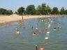 Campsite France Loire Atlantique : Lac de Saint-Philbert pour une baignade agréable